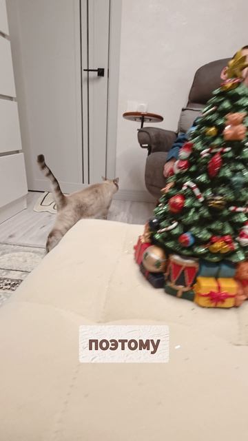 🎄Что для вас первый шаг к Новому году? #новыйгод #уют #дом #новогоднеенастроение #зима смотреть онлайн