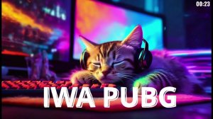 ГО В PUBG НА НА ПАРУ ЧАСИКОВ ПЕРЕДСНОМ