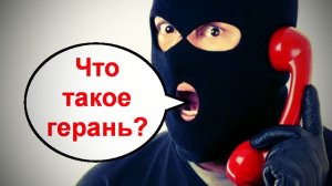 Скоро узнаешь, что такое герань _ Мошенники звонят по телефону