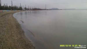 Мариуполь 🌇 сегодня,пр.Нахимова, Слабодка, Азовское море, утки,чайки.