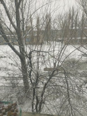 украшаю комнату на новый год