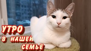 Утро в нашей семье.