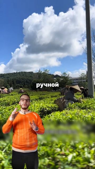 Секрет вкуса о котором не пишут смотреть онлайн