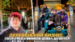 Лекарственные травы и Китай