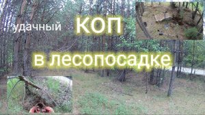 МЕТАЛЛОКОП В ЛЕСОПОСАДКЕ УДИВИЛ И ПОРАДОВАЛ!!!