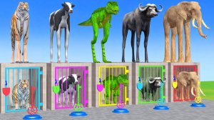 Веселые игры с слоном, гориллой, бегемотом, тигром - 3D игра с животными - Забавные 3D животные