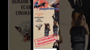 Тролим "специалистов"