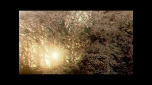 Любви Твоей негаснущие строки (ролик-медитация Стаса Алёшин)