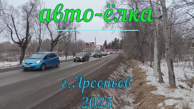 Авто-ёлка 2025