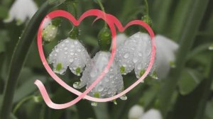 Любовь - ( Премьера песни 2025, премьера видеоклипа, 2025)