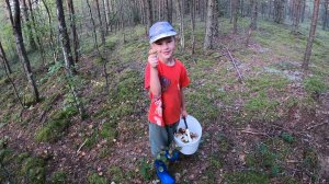 Собираем белые грибы у бывшего аэродрома. Занятие для всей семьи. Лес, природа, лето, прогулка.