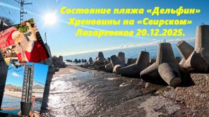 Состояние пляжа "Дельфин", хреновины на "Свирском" и температура моря! Лазаревское 20.12.2025.
