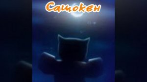 〔Edit〕Сашокен, Twenty five