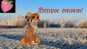 Новогодний Вопрос ответ| •Strawberry Production•