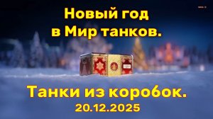 Мои новогодние танки на 20.12.2025. Мир танков._