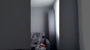 отвечаю на вопромы