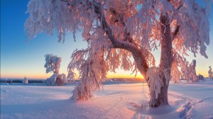 " Зима , зима " (Авт. и исп.  А.Шаронов)