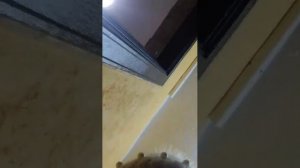 1 день без телефона