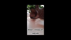 Я НЕ УХОЖУ! :3