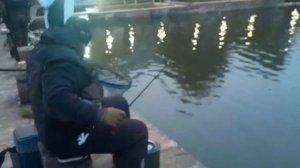 Поимки до зарыбления