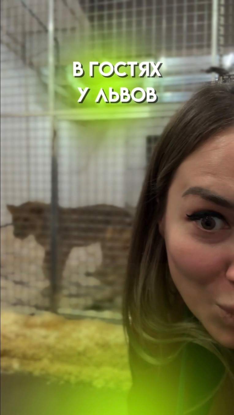 Закулисье ЦИРКА смотреть онлайн