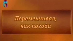 Мода # 4. К северу от Востока