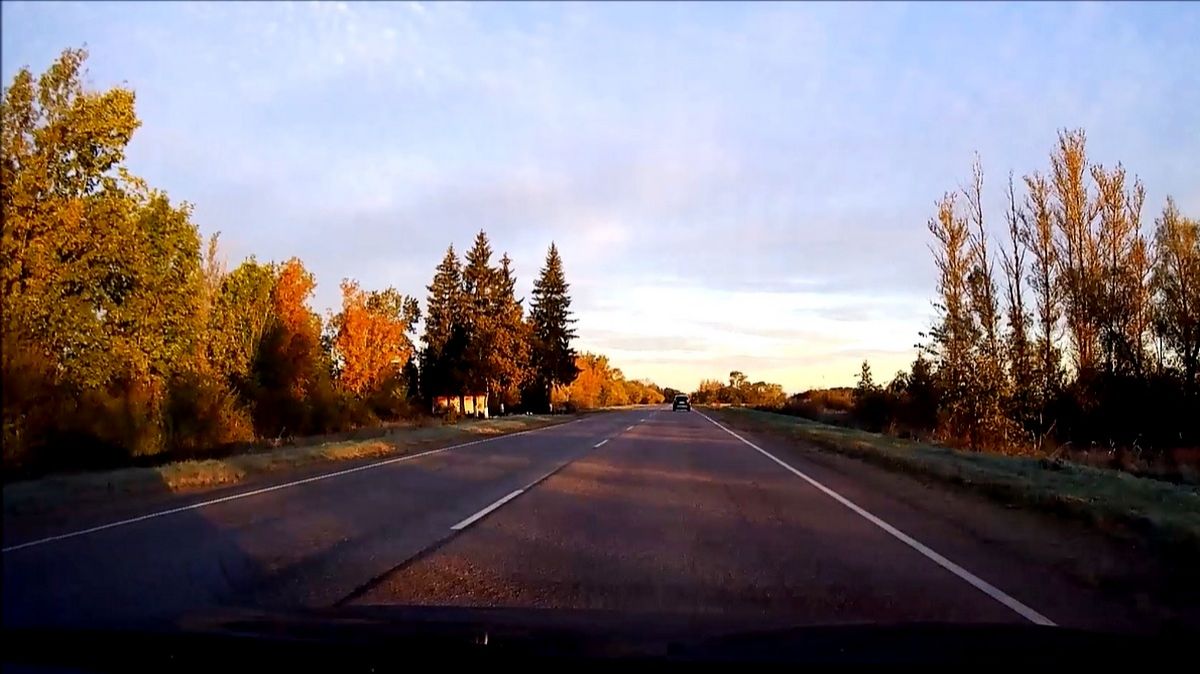 Дачный сезон закончен. Домой! смотреть онлайн