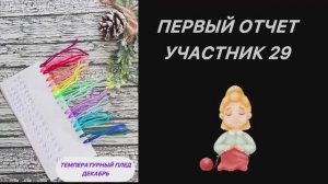 СП Температурный плед». Декабрь. Участник 29