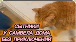 САМВЕЛ АДАМЯН, СЫТНИКИ, У САМВЕЛА ДОМА БЕЗ ПРИКЛЮЧЕНИЙ..