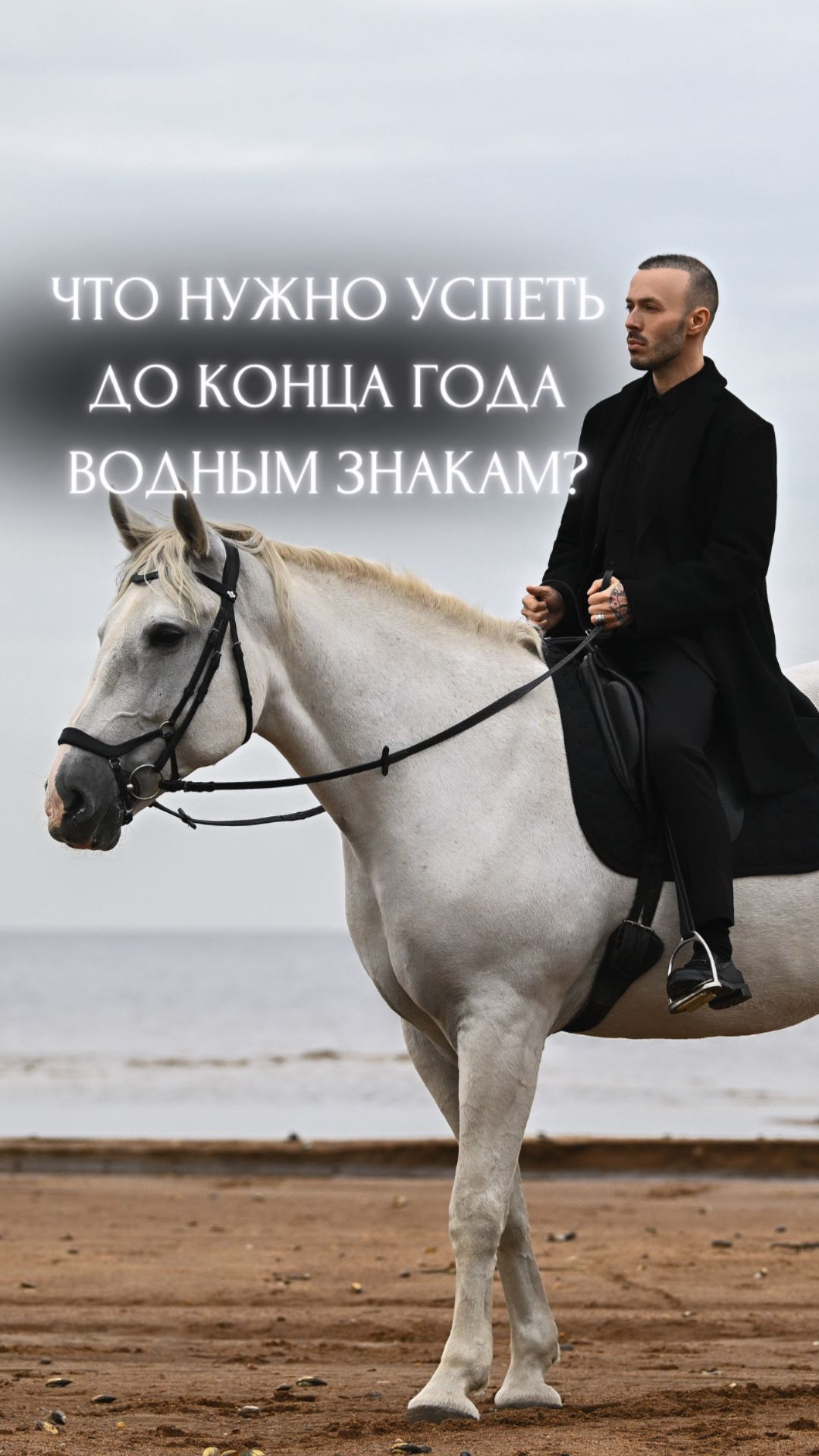 Раки, Скорпионы, Рыбы: Что нужно успеть до конца года водным знакам?🌊 смотреть онлайн
