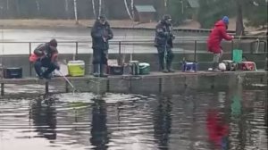 Форель клюёт по всей акватории. Спорт-зона. Клёвое место Лосиный остров.