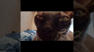 а чо писать