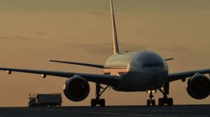 "Она просто спит": семья пронесла тело мертвой бабушки на борт самолета