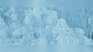 Артур Закиров  "Думай только о хорошем" читает Любовь Б.  #стихи #поэзия #стихиожизни