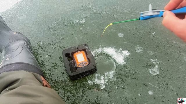 Рыбалка в удовольствие 20.12.2025 смотреть онлайн