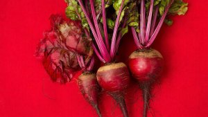 🌿 Свёкла в России: захватывающее историческое путешествие