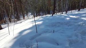 Мои следы.Центральные Столбы .Красноярск