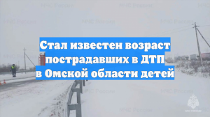 Стал известен возраст пострадавших в ДТП в Омской области детей