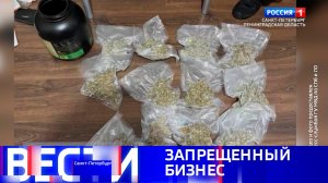 Вести Санкт-Петербург. Выпуск 20.50 от 20.12.2025