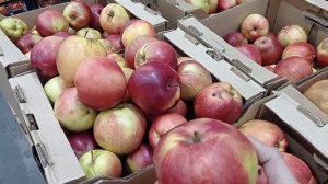 СВЕТОФОР _ Что купить а что не стоит❗Что дешевле что не очень 🤔