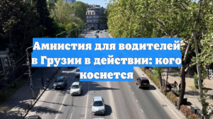 Амнистия для водителей в Грузии в действии: кого коснется
