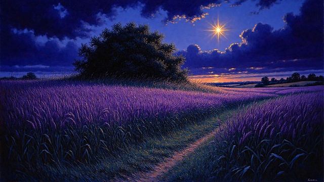 Забытая звезда