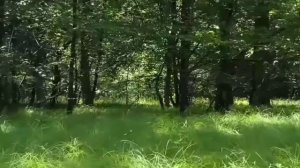 КОМЕДИЯ РОК  Жить хорошо!!!)))