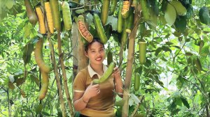 Собираю семена растений и натуральные фрукты, привожу на рынок для продажи. Жизнь Дуонг. Вьетнам