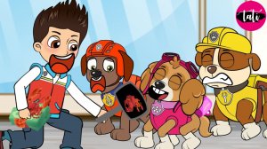 Щенячий патруль и Маршалл. Залипательное видео. Мультфильм для детей и малышей. Анимация