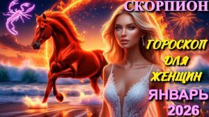 Скорпион. Гороскоп для женщин на январь 2026 года.