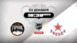 Горняк-УГМК (Верхняя Пышма) - Звезда (Москва)