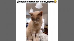 Хочу подарок