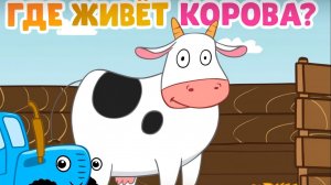 Синий Трактор｜Где живут животные?｜Синий Трактор Смотреть | Синий Трактор для малышей смотреть