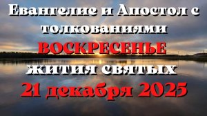 Евангелие дня 21 ДЕКАБРЯ 2025 с толкованием.  Апостол дня.  Жития Святых.